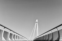Bicycle bridge the Snelbinder