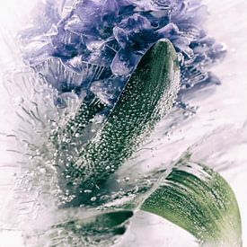bevroren blauw van Fotografie & Digital Art von Margit Lisa Roeder