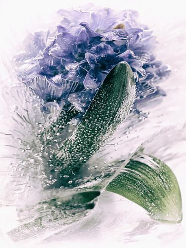 bevroren blauw