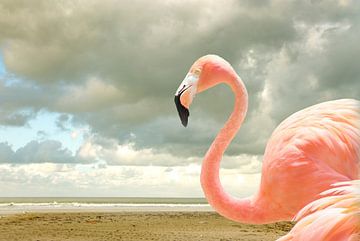 Proud to be pink by Adriana Zoon