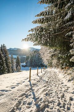 Winteruitzicht op de Hochgrat in de ochtend van Leo Schindzielorz