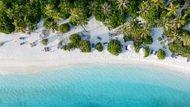 Kokospalmen en een droomstrand van Tilo Grellmann