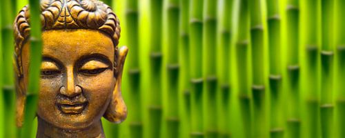 golden buddha head in bamboo forest
