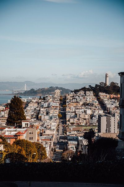 San Francisco by Hello Pompoyo