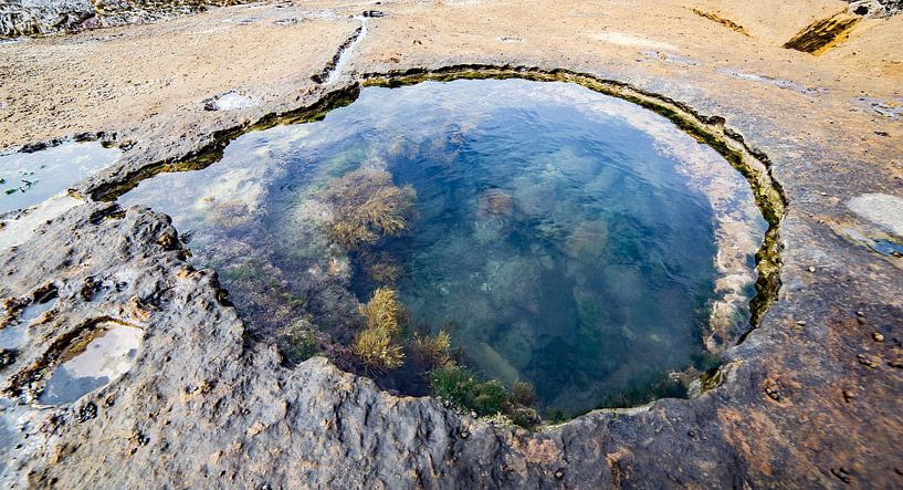 Mermaid Pool by WvH