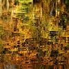 Herbstfarben, die sich im Wasser spiegeln von Marcel Pietersen