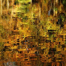 Herbstfarben, die sich im Wasser spiegeln von Marcel Pietersen