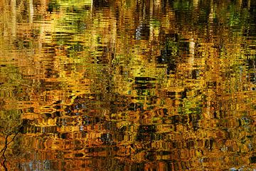 Herfstkleuren reflecterend in het water