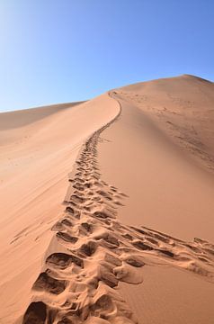 Tracks in the sand by Andreas Muth-Hegener