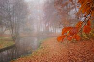 Herbst und Nebel im Notaoristuun in Grootegast von Annie Jakobs Miniaturansicht