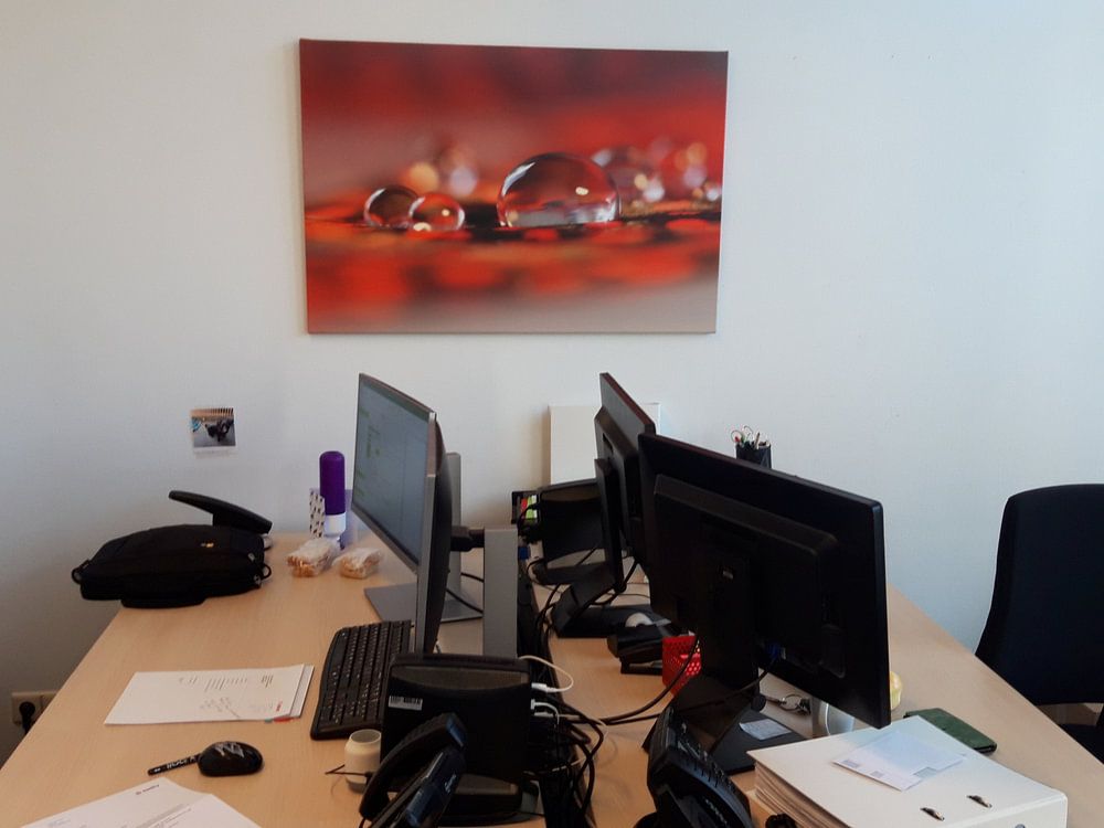 Rot funkelnd  von Carla Mesken-Dijkhoff 