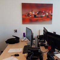 Photo de nos clients: Rouge pétillant par Carla Mesken-Dijkhoff, sur toile