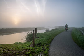 A misty morning at Binnenveld with a cyclist
