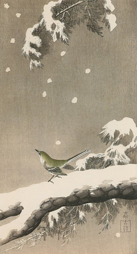 Ohara Koson - Japanischer Buschrohrsänger auf Schnee-Kiefer