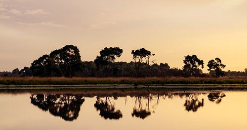 Strabrechtse Heide 114