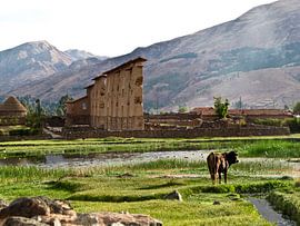 Plattelandsleven in Peru van Onne Kierkels