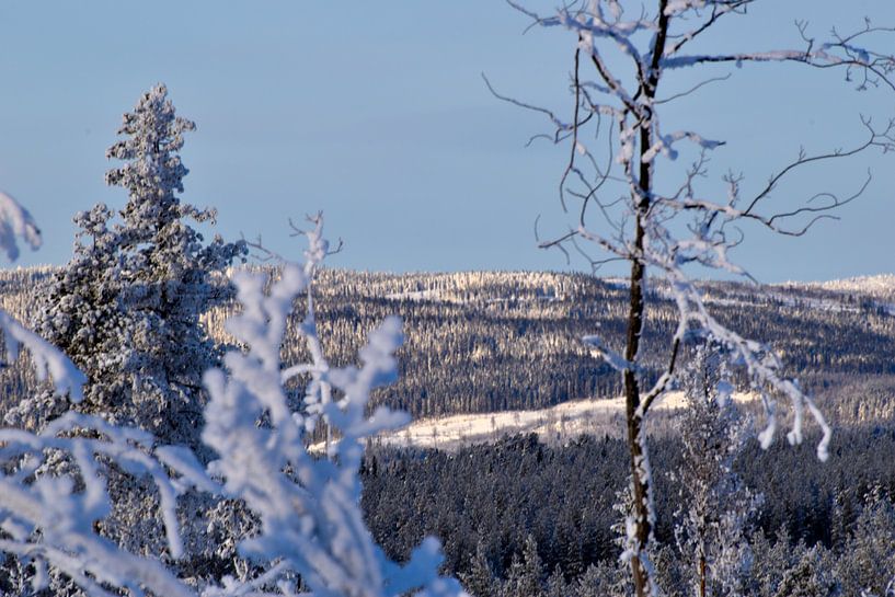 Les champs enneigés par Christer Andersson