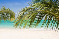 Tropisch strand met palmbomen van Marjan Schmit Visser thumbnail