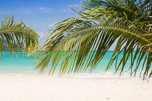 Tropisch strand met palmbomen van Marjan Schmit Visser
