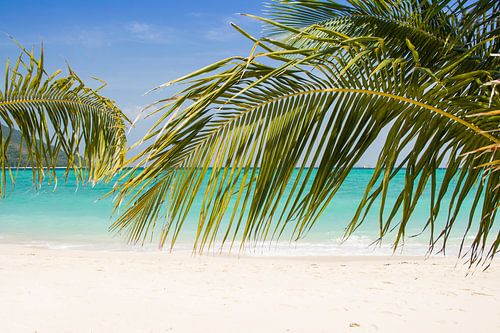 Tropisch strand met palmbomen en azuurblauwe zee op Koh Lipe, Thailand