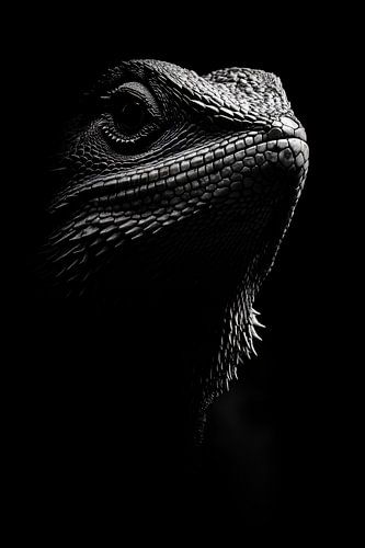Lézard