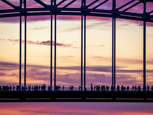 Marche de quatre jours, mercredi rose sur Lex Schulte