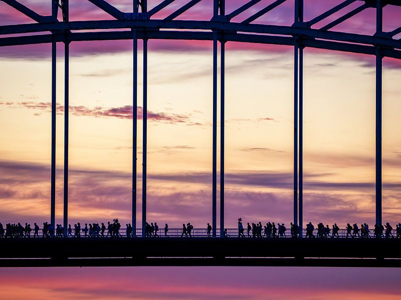 Four-day march, pink Wednesday by Lex Schulte