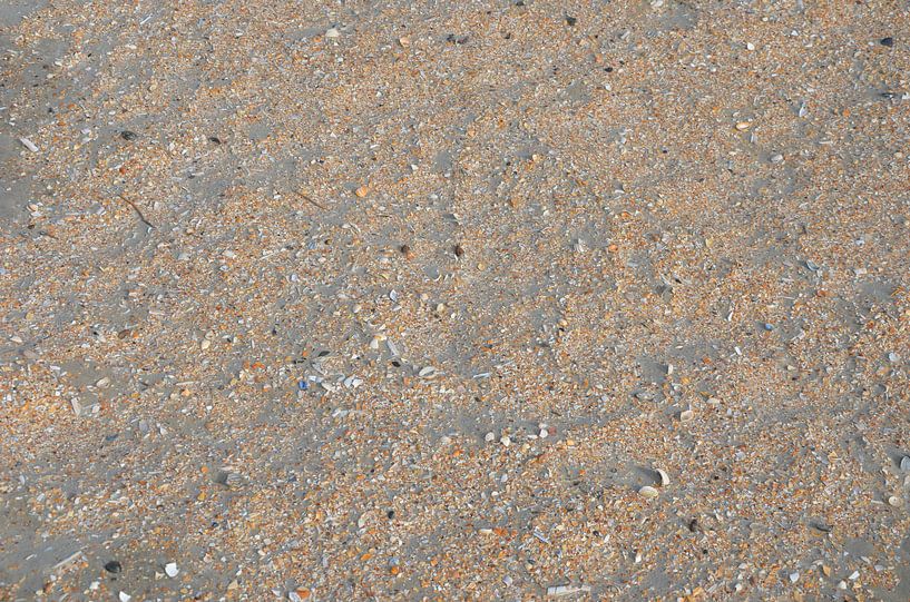 Schelpjes par Op Het Strand