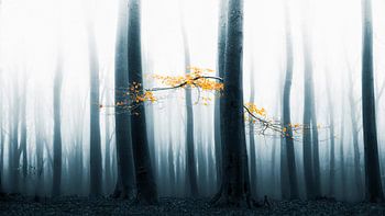 Speulder opnieuw bekeken