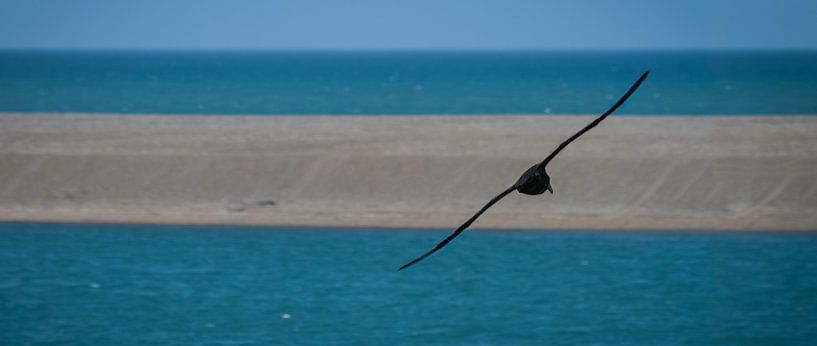 Art of flying van BL Photography