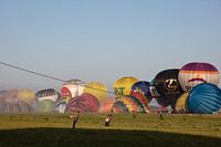 Hot Air Balloon Festival