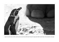 Wie Autismus aussieht: Unhöflich