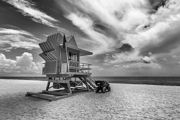 MIAMI BEACH Monochrome Florida Flair by Melanie Viola