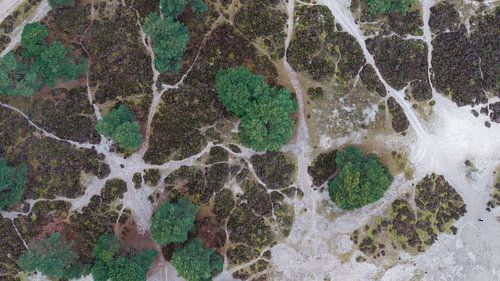 De bijzondere patronen van Soestduinen van bovenaf