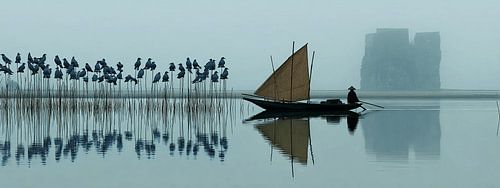 A journey through the Silence of the Blue World