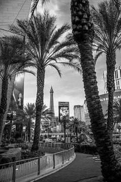 Las Vegas uitzicht op de Eiffeltoren tussen palmbomen | The Strip | zwart-wit