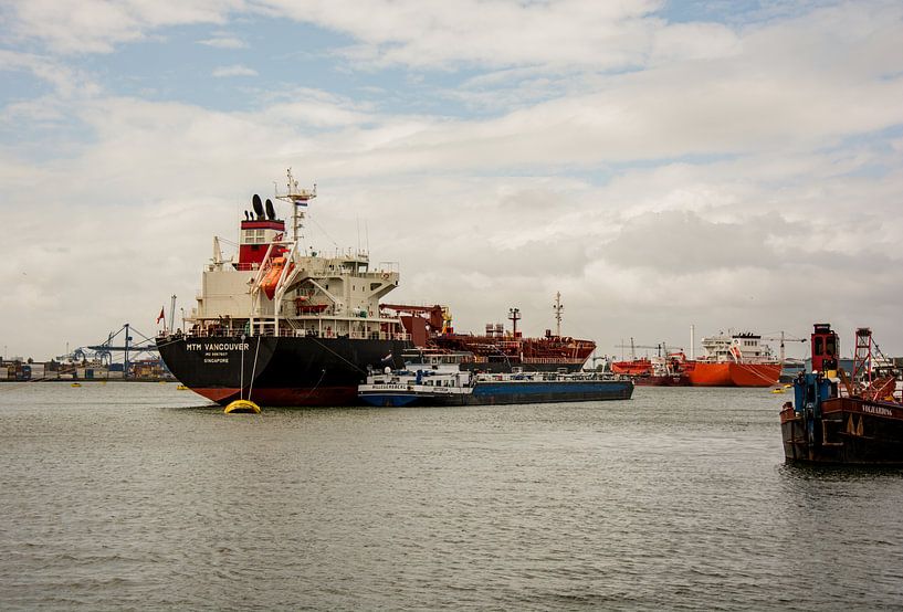Schepen op de boeien in de Waalhaven van scheepskijkerhavenfotografie