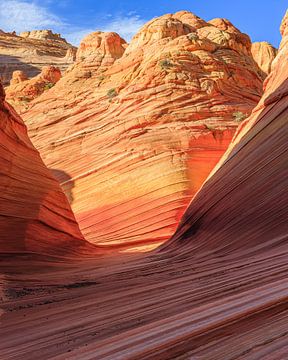 The Wave in the North Coyote Buttes, Arizona