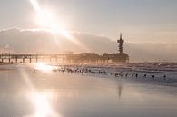 De Pier van Scheveningen van Jessica Van Wynsberge thumbnail