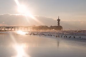 De Pier van Scheveningen van Jessica Van Wynsberge