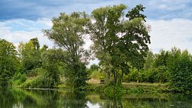 Ein Blick auf einen See bei Allstedt von Andreas Völkel
