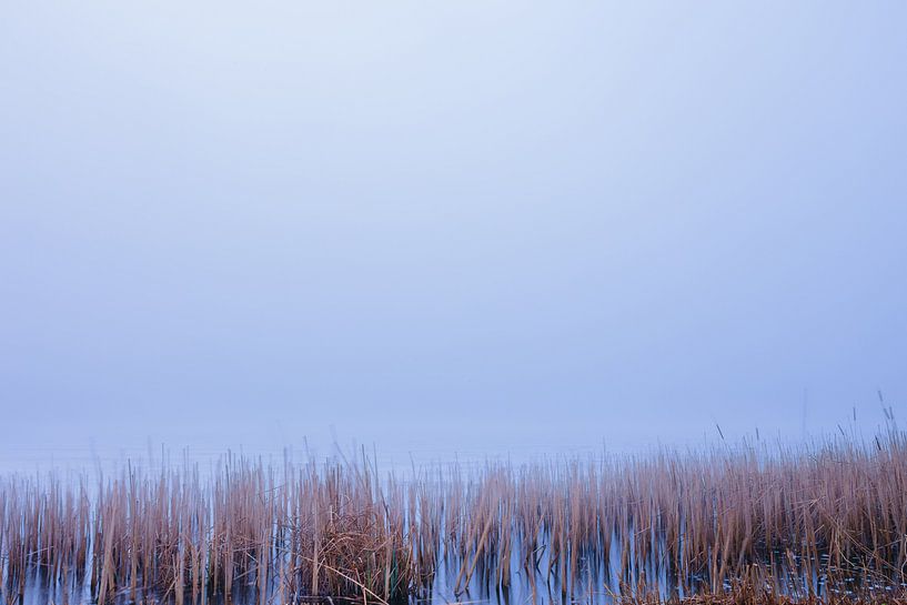 On the waterfront by Wilko Visscher
