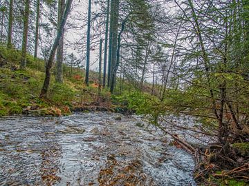 Schöne grüne Natur mit fließendem Fluss von Nature Life Ambience