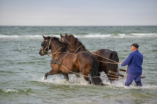 Roeireddingboot Terschelling
