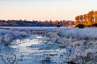 Winters landschap van Dick Hooijschuur thumbnail