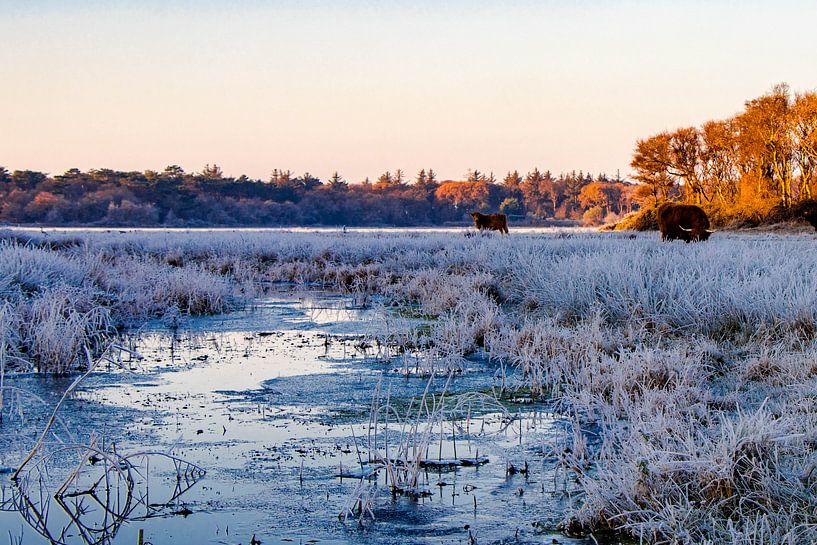Winters landschap van Dick Hooijschuur