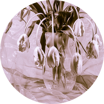 Stilleven van Franse tulpen in een glazen vaas van Roland de Zeeuw fotografie