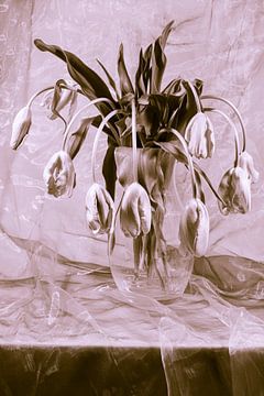 Still life of French tulips in a glass vase by Roland de Zeeuw fotografie