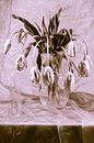 Nature morte de tulipes françaises dans un vase en verre par Roland de Zeeuw fotografie Aperçu