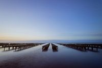 oyster beds